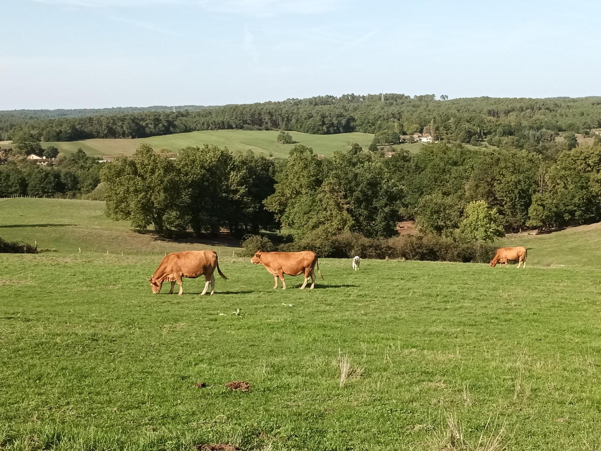 Gite Aux Vieux Bois Lunas  Eksteriør bilde